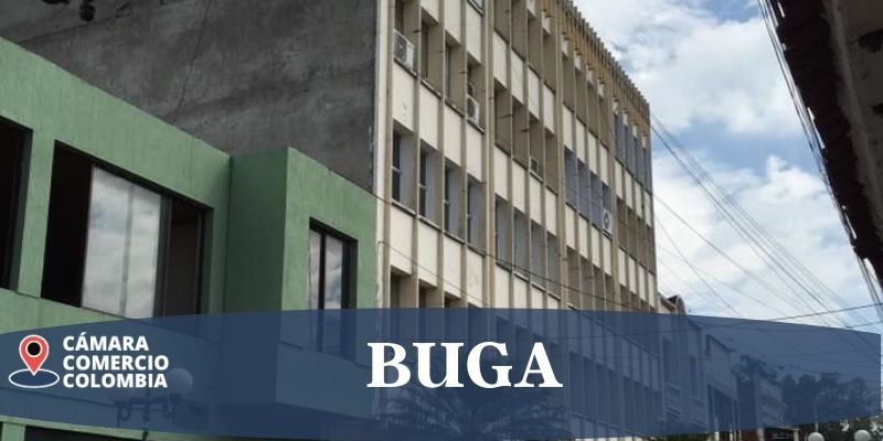 camara de comercio buga registros, renovaciones certificados