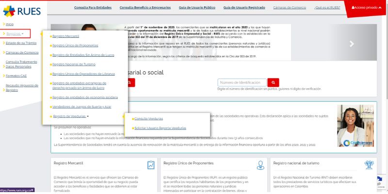 como consultar el rues por internet